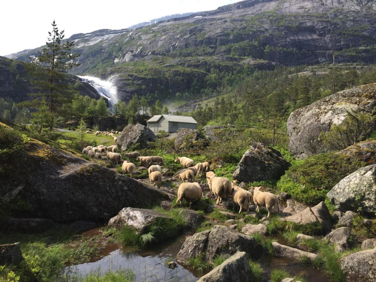 Huse Gjestegard Casa vacanze Kinsarvik